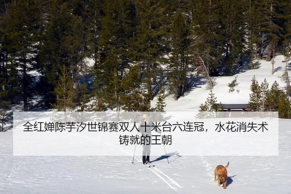全红婵陈芋汐世锦赛双人十米台六连冠，水花消失术铸就的王朝